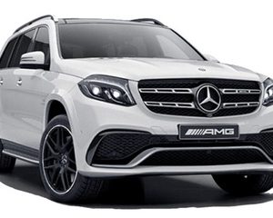 AMG GLS X166